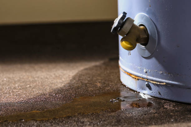 Best Water damage cleanup near me  in Massapequa Park, NY