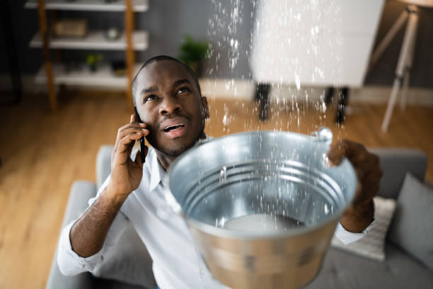 Best 24-hour water damage restoration  in Massapequa Park, NY