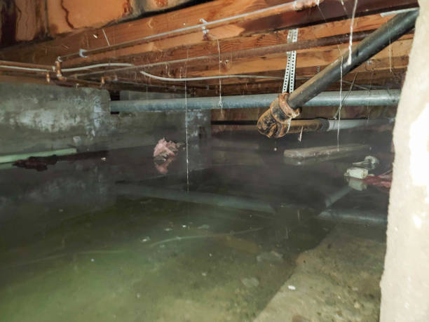 , NY Water damage restoration Company