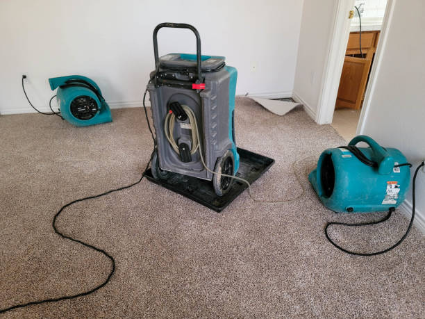 Best Professional water damage repair  in Massapequa Park, NY