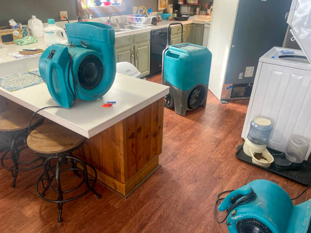 Best Flood damage cleanup  in Massapequa Park, NY