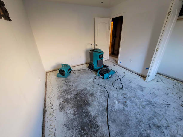 Best 24/7 water damage repair  in Massapequa Park, NY