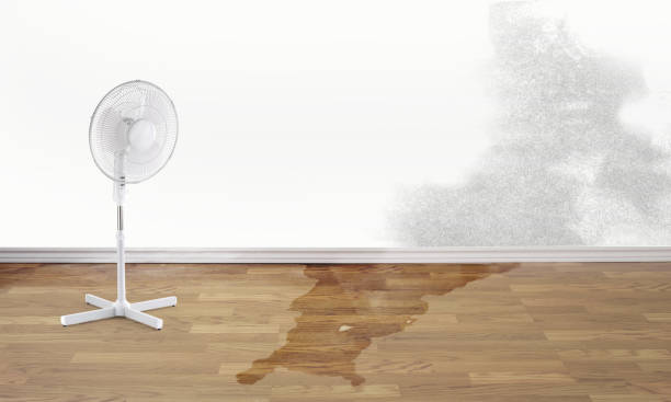 Best Sewage cleanup and water damage restoration  in Massapequa Park, NY
