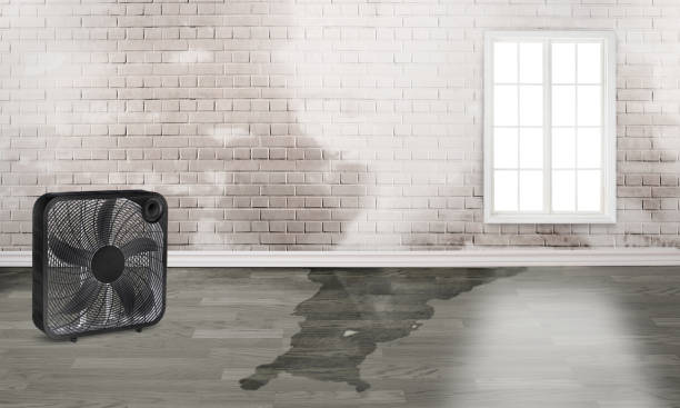 Best Sewage cleanup and water damage restoration  in Massapequa Park, NY
