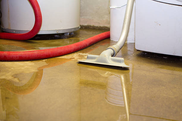 Best Ceiling water damage repair  in Massapequa Park, NY