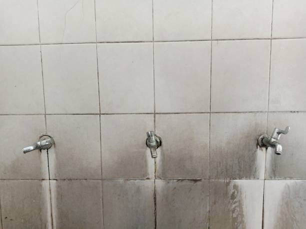 Best Water damage restoration near me  in Massapequa Park, NY