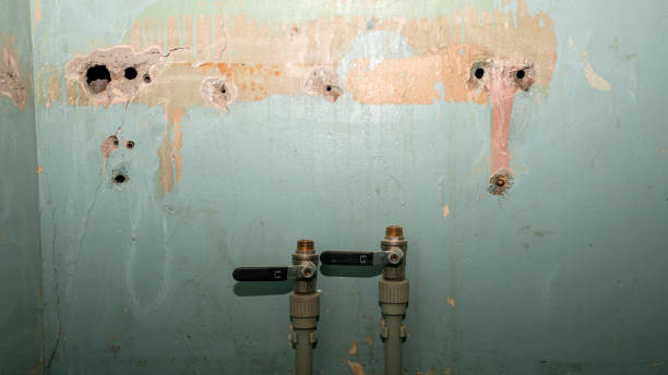 Best Flood restoration services  in Massapequa Park, NY
