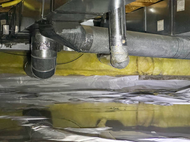 Best Water damage restoration company  in Massapequa Park, NY