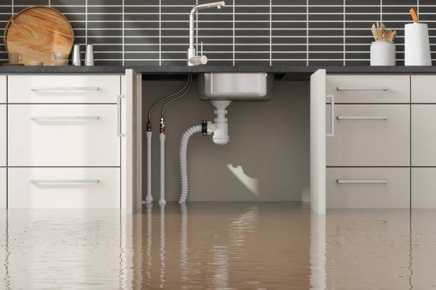 Best Water damage contractors near me  in Massapequa Park, NY