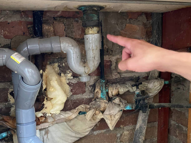 Best Water damage restoration mold remediation  in Massapequa Park, NY