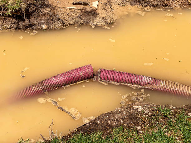 Best 24-hour water damage restoration  in Massapequa Park, NY