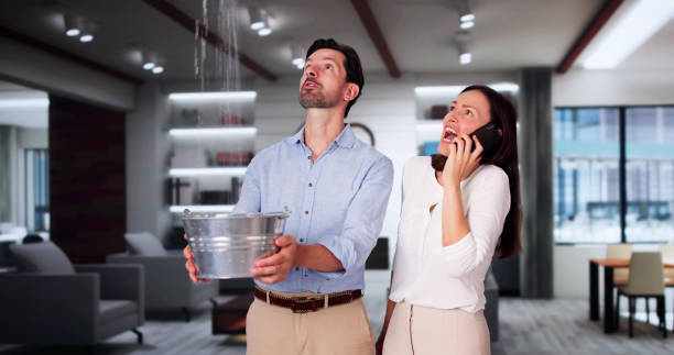 Best Commercial water damage restoration  in Massapequa Park, NY