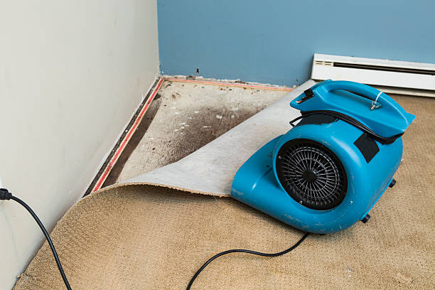 Best Flood restoration services  in Massapequa Park, NY